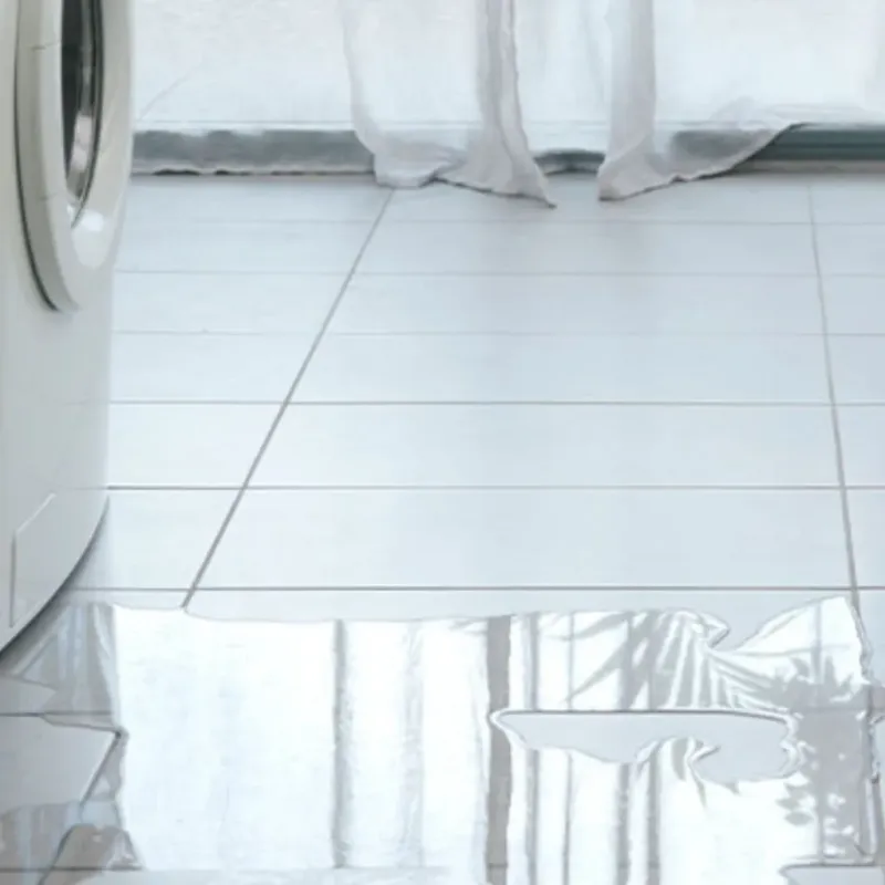 Appliance Leak Cleanup in Herald, CA