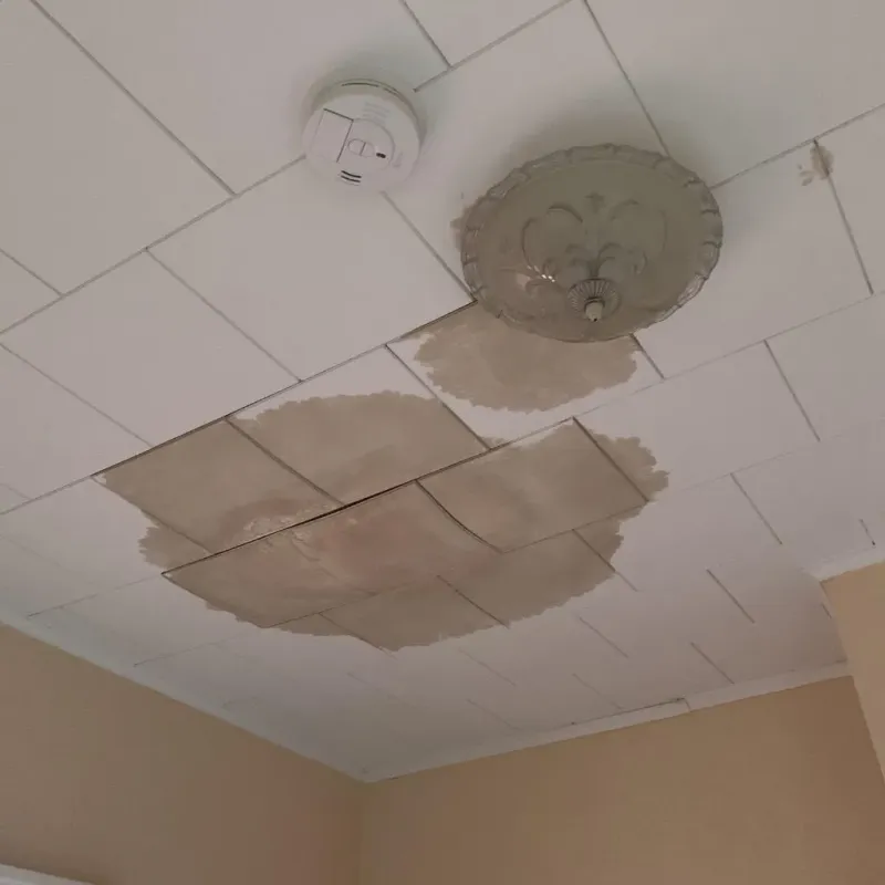 Ceiling Water Damage Repair in Herald, CA