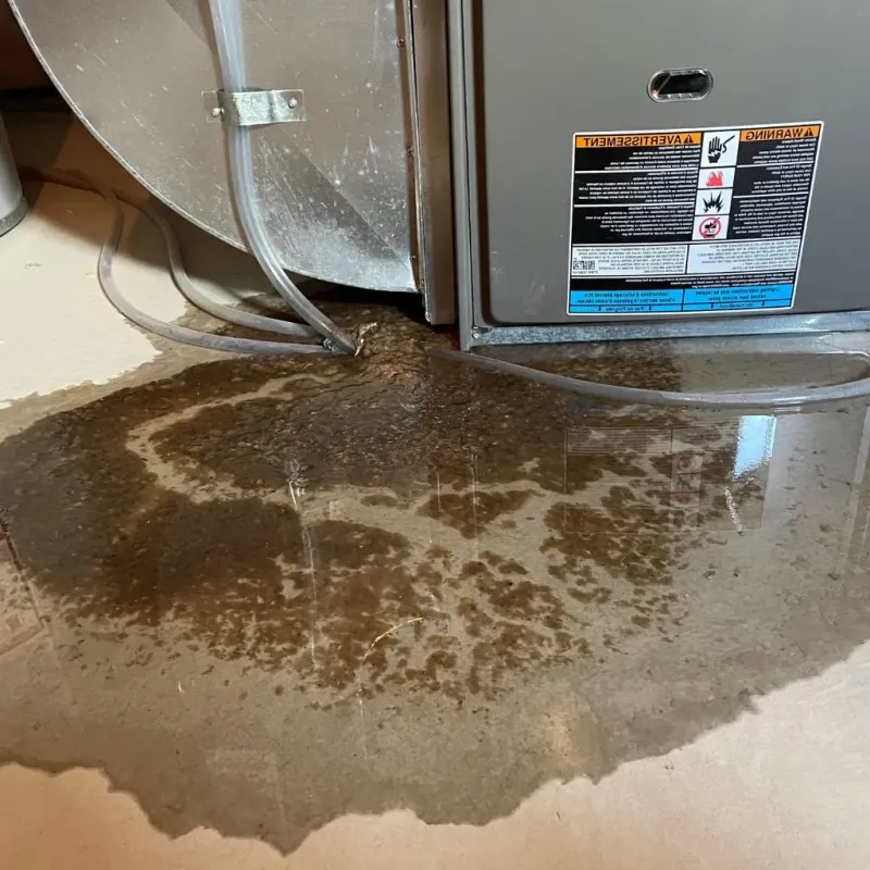 Pipe Burst and Leak Restoration in Herald, CA