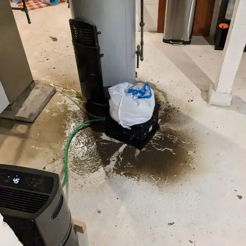 Sewage Backup Cleanup Service in Herald, CA